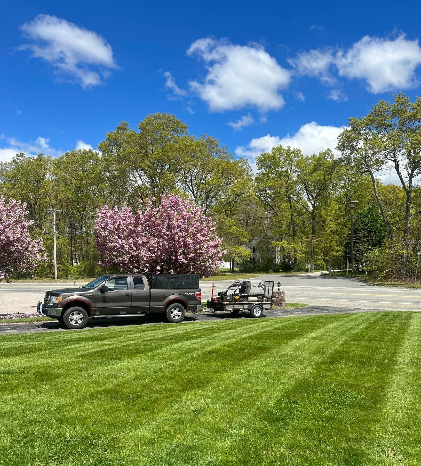 Spring Cleanups