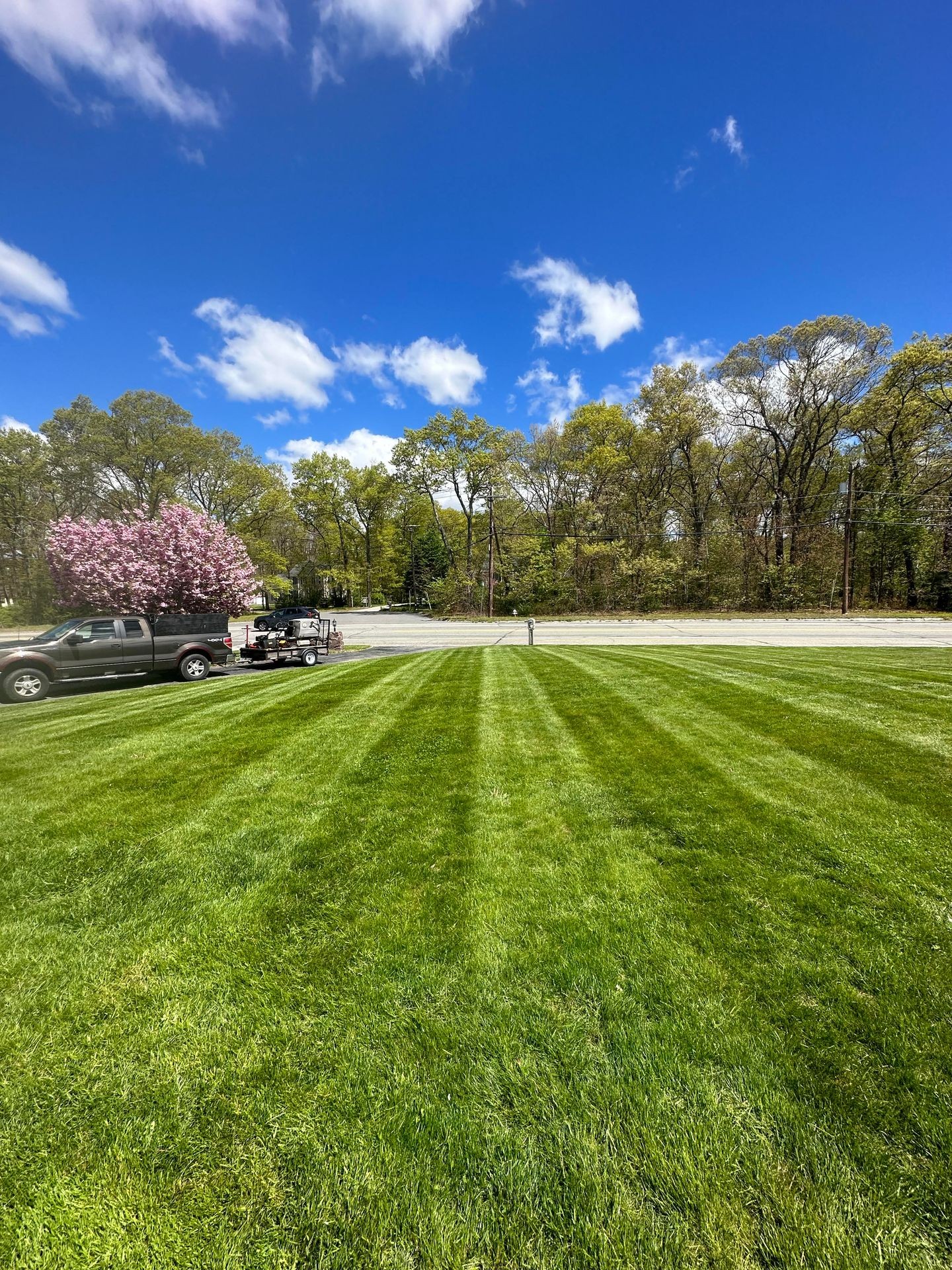 Lawn Mowing and Edging